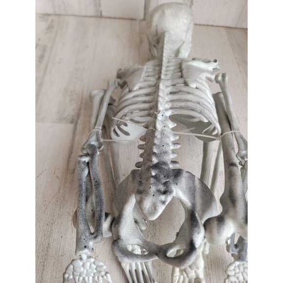 Skeleton prop bone hanging Halloween home decor skull scary - Picture 9 of 12